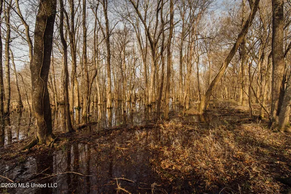 $1,650,000 | 1549 County Road 99, Sidon, MS 38954