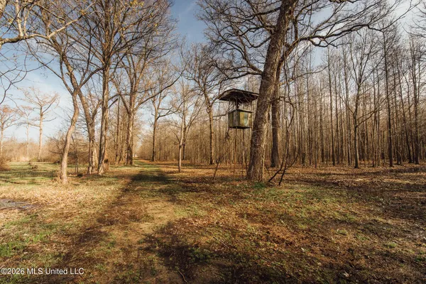 $1,650,000 | 1549 County Road 99, Sidon, MS 38954