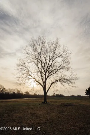 $1,650,000 | 1549 County Road 99, Sidon, MS 38954