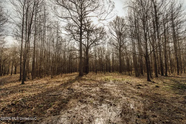 $1,650,000 | 1549 County Road 99, Sidon, MS 38954