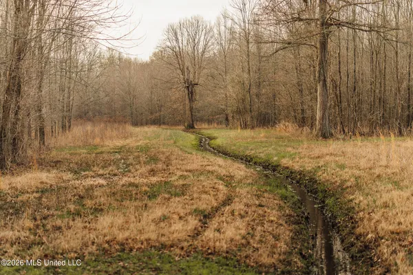 $1,650,000 | 1549 County Road 99, Sidon, MS 38954