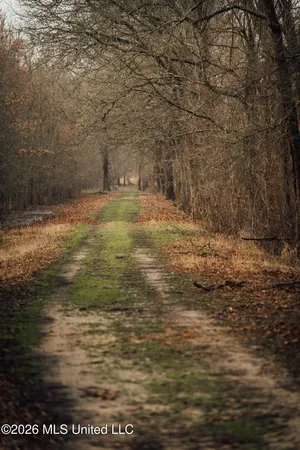 $1,650,000 | 1549 County Road 99, Sidon, MS 38954