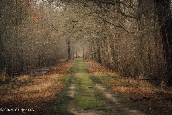 $1,650,000 | 1549 County Road 99, Sidon, MS 38954