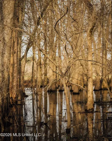 $1,650,000 | 1549 County Road 99, Sidon, MS 38954