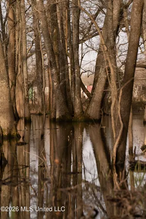 $1,650,000 | 1549 County Road 99, Sidon, MS 38954