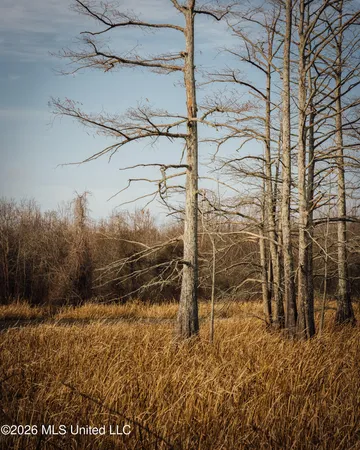 $1,650,000 | 1549 County Road 99, Sidon, MS 38954