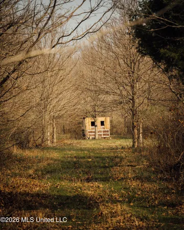 $1,650,000 | 1549 County Road 99, Sidon, MS 38954