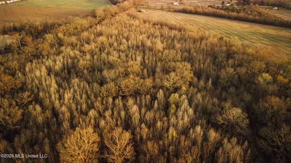 $1,650,000 | 1549 County Road 99, Sidon, MS 38954