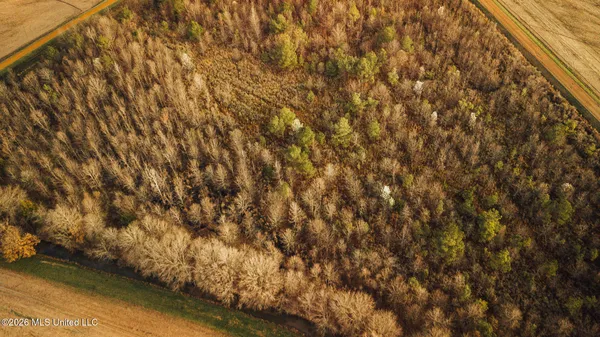 $1,650,000 | 1549 County Road 99, Sidon, MS 38954