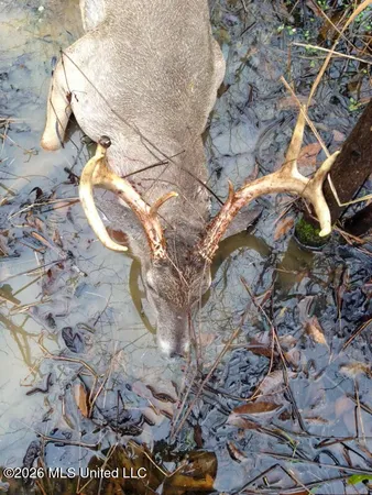 $1,650,000 | 1549 County Road 99, Sidon, MS 38954