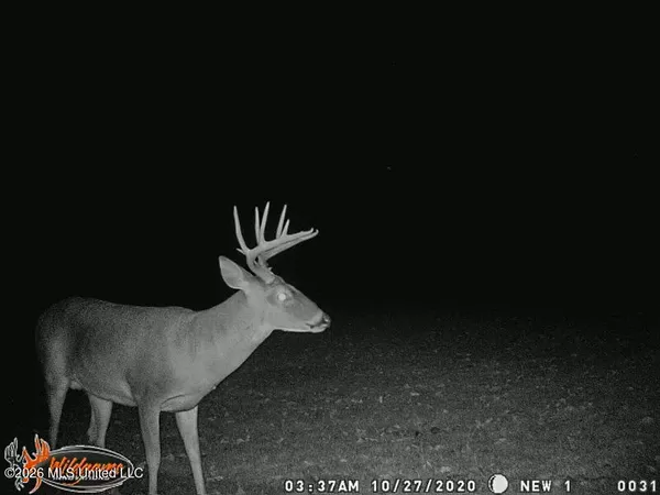 $1,650,000 | 1549 County Road 99, Sidon, MS 38954