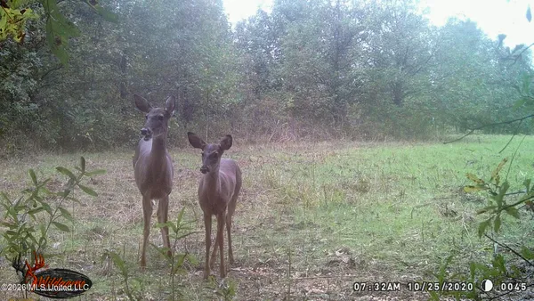 $1,650,000 | 1549 County Road 99, Sidon, MS 38954