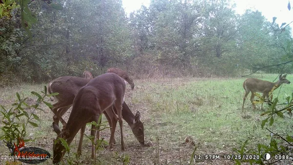 $1,650,000 | 1549 County Road 99, Sidon, MS 38954