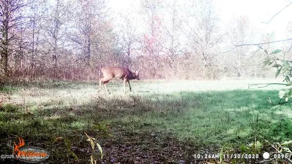 $1,650,000 | 1549 County Road 99, Sidon, MS 38954