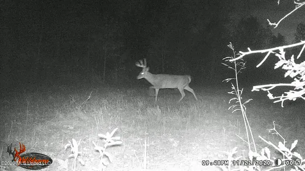 $1,650,000 | 1549 County Road 99, Sidon, MS 38954