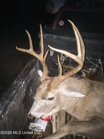 $1,650,000 | 1549 County Road 99, Sidon, MS 38954