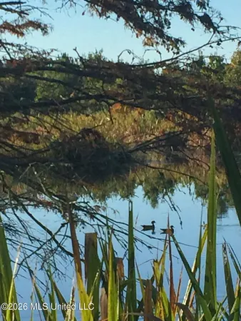 $1,650,000 | 1549 County Road 99, Sidon, MS 38954