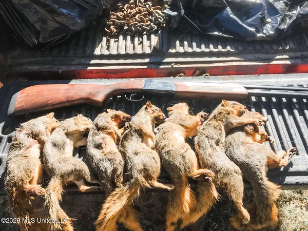 $1,650,000 | 1549 County Road 99, Sidon, MS 38954