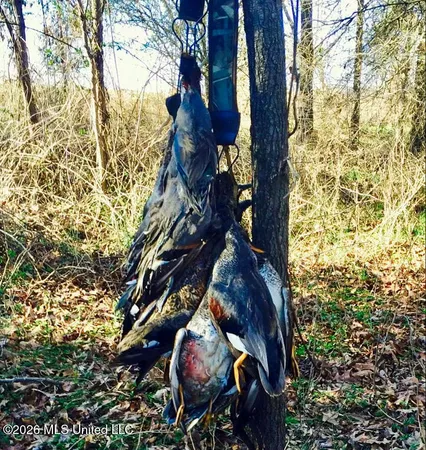 $1,650,000 | 1549 County Road 99, Sidon, MS 38954