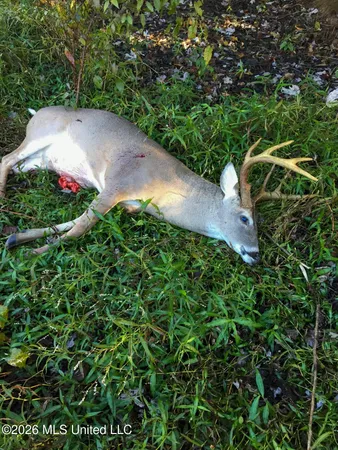 $1,650,000 | 1549 County Road 99, Sidon, MS 38954