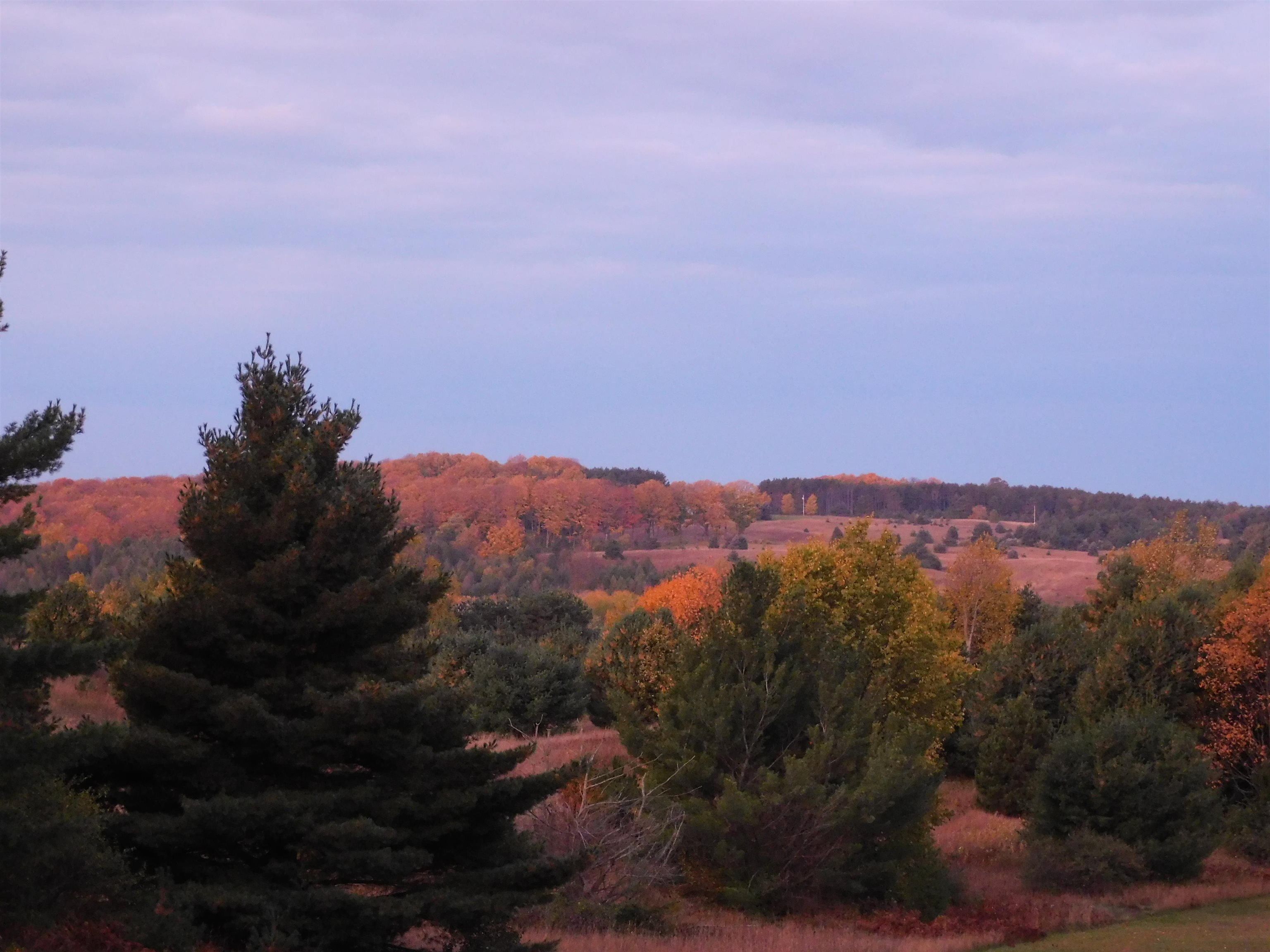 7035 Helena Road Alden, MI 49612 - Photo 15 of 38 1912189-14.JPG