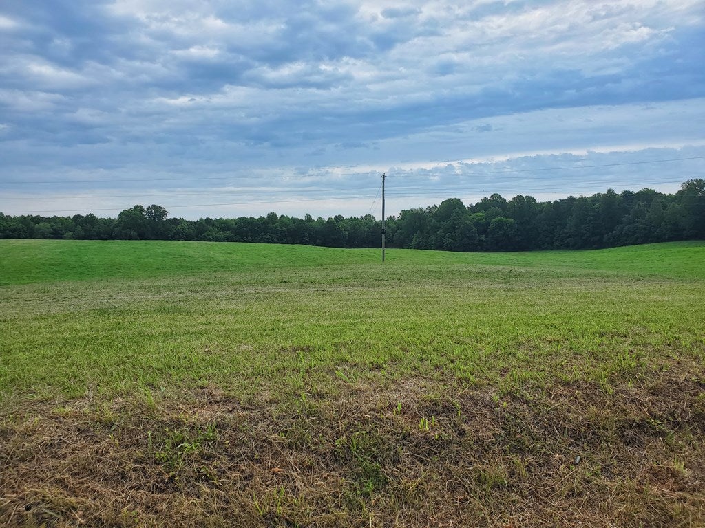 0 Francisco Road Farmville, VA 23901 - Photo 3 of 6 Gallery Image 3