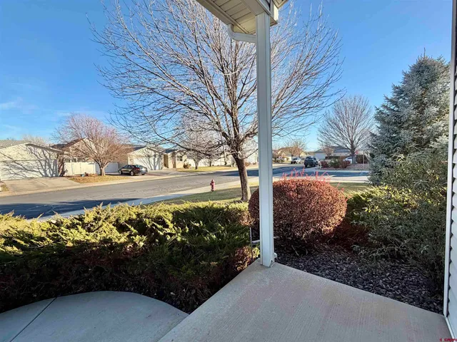 a street view with a fountain