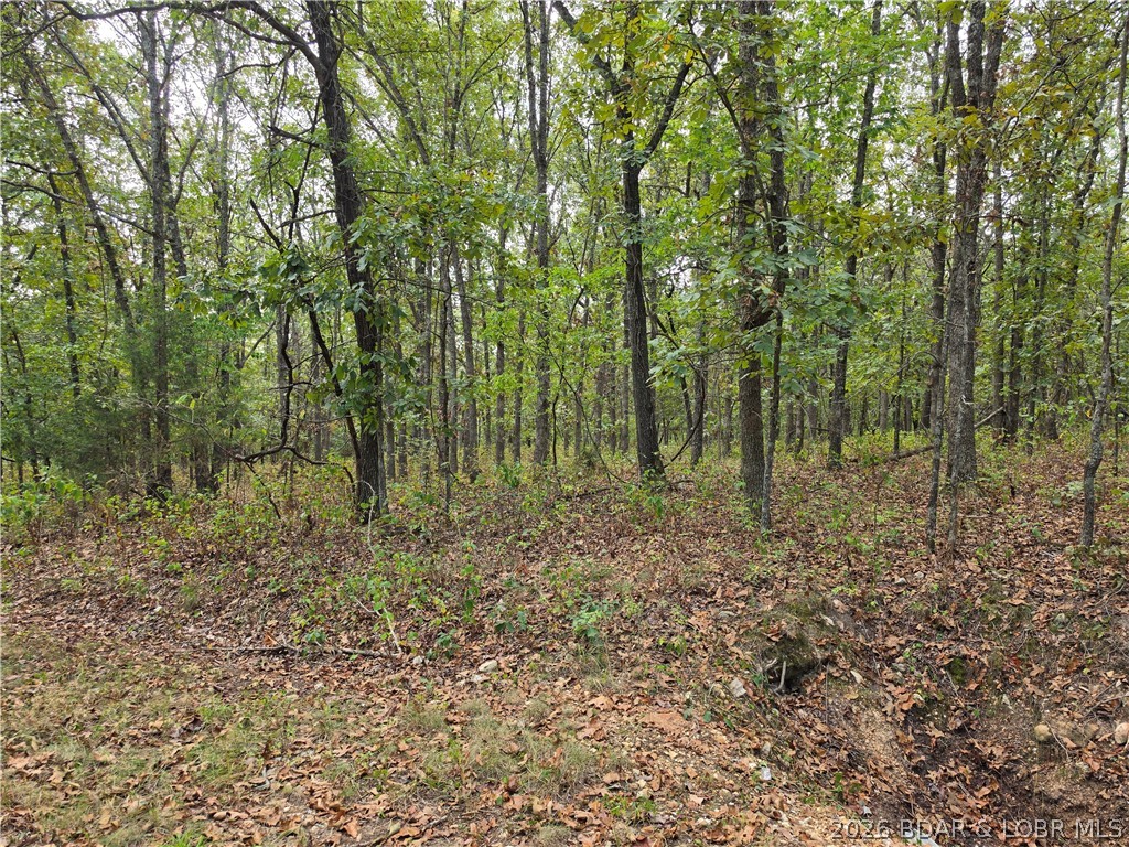 Forbes Road, Unit 2556 & 2557 Edwards, MO 65326 - Photo 16 of 26 Gallery Image 16