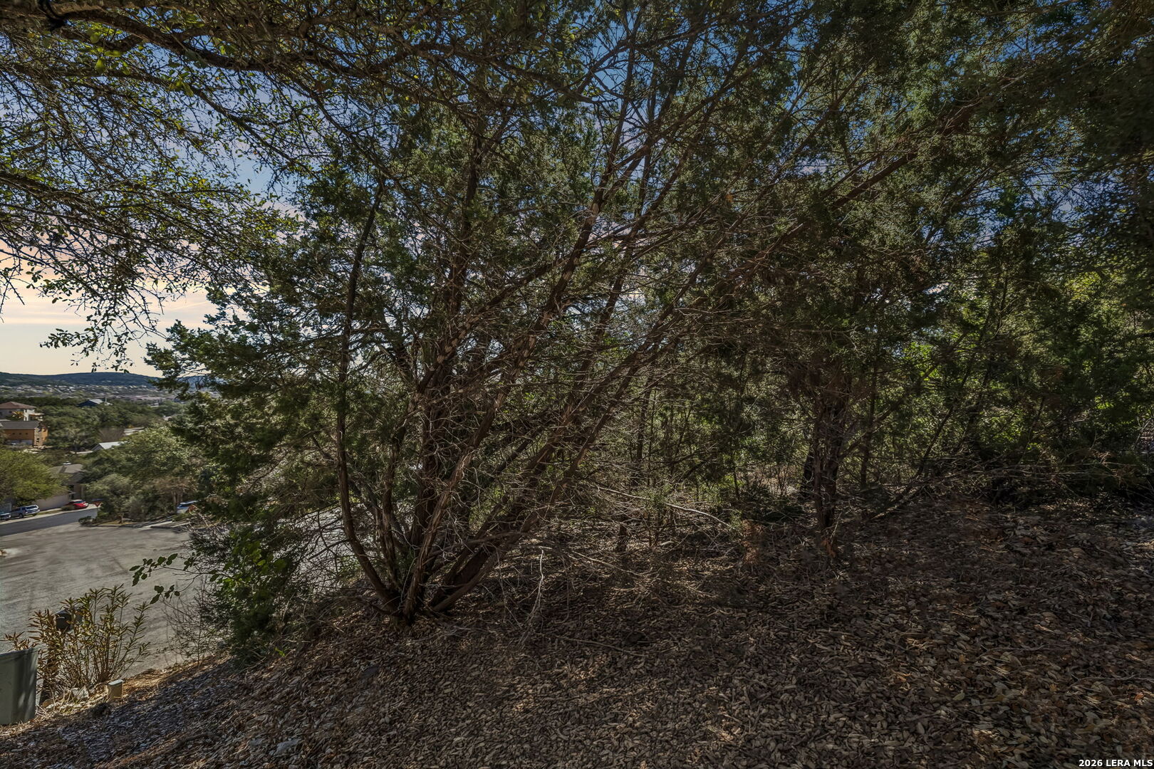 11232 Cave Creek Helotes, TX 78023 - Photo 4 of 9 a view of a yard with a tree