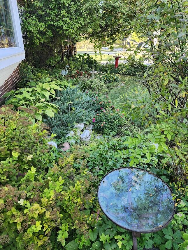 543 Roosevelt Road Kohler, WI 53044 - Photo 46 of 55 Front yard beauty