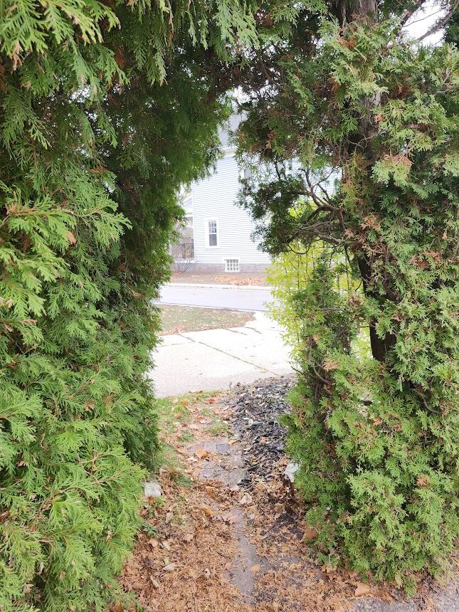 543 Roosevelt Road Kohler, WI 53044 - Photo 49 of 55 Hidden walkway