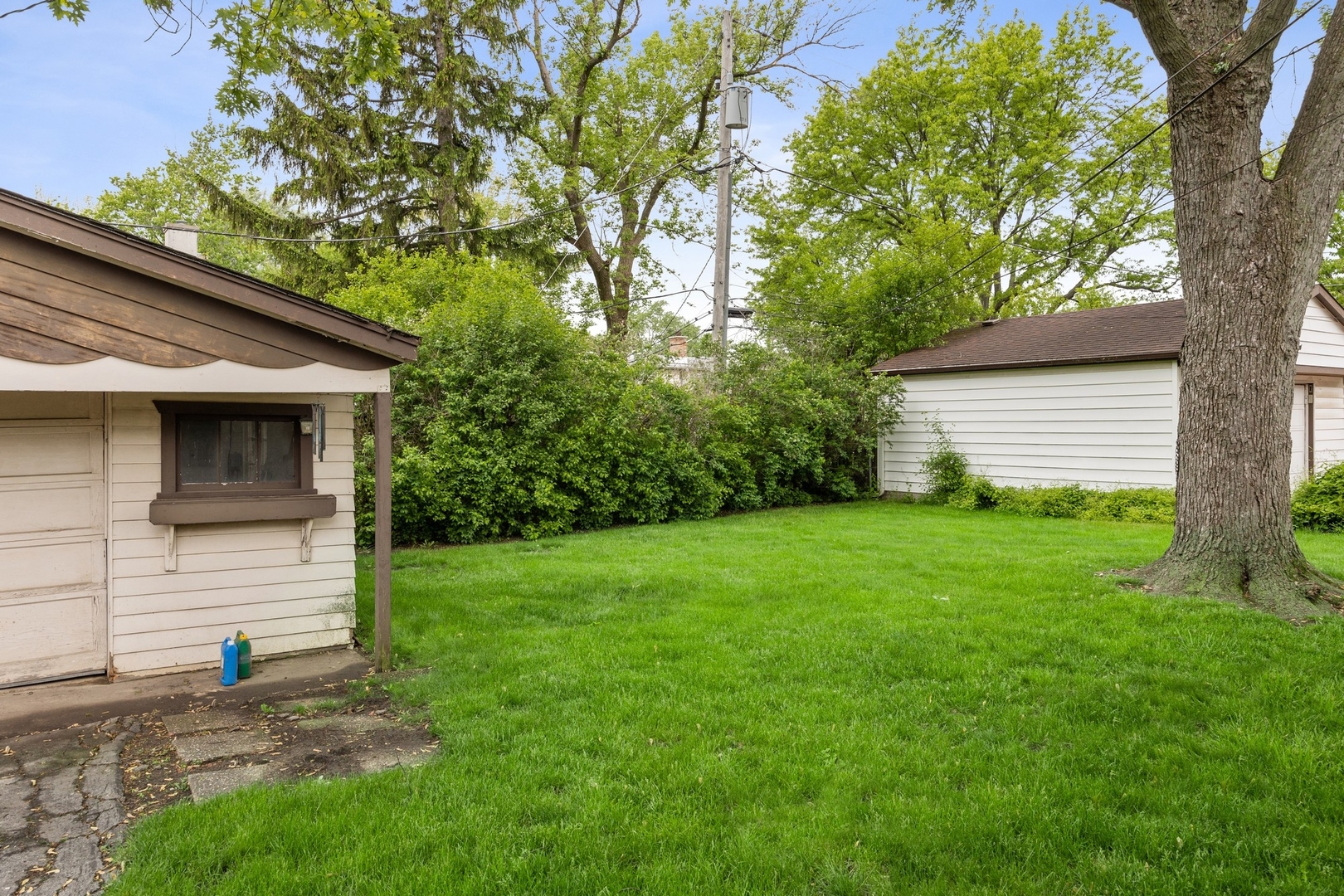 414 Shermer Road Glenview, IL 60025 - Photo 13 of 16 a view of a backyard with plants and large tree