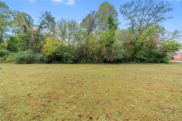 a view of a yard with a trees