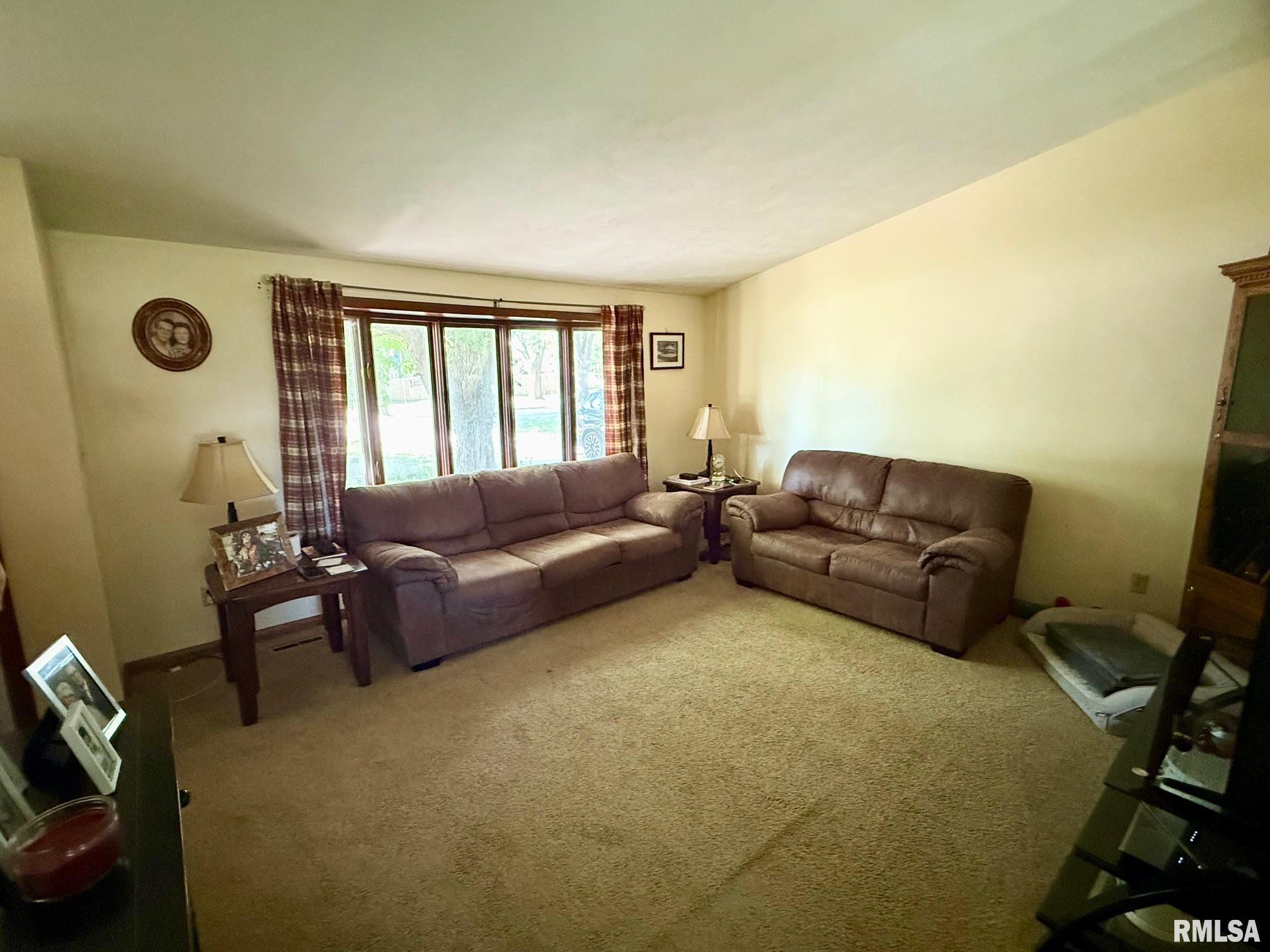 17122 River View Road Petersburg, IL 62675 - Photo 5 of 27