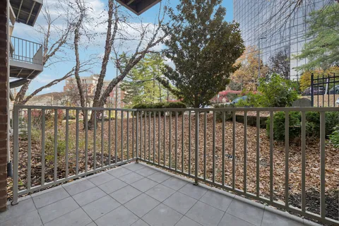 a view of a back yard