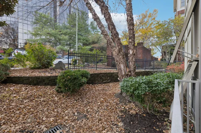 a view of yard with trees