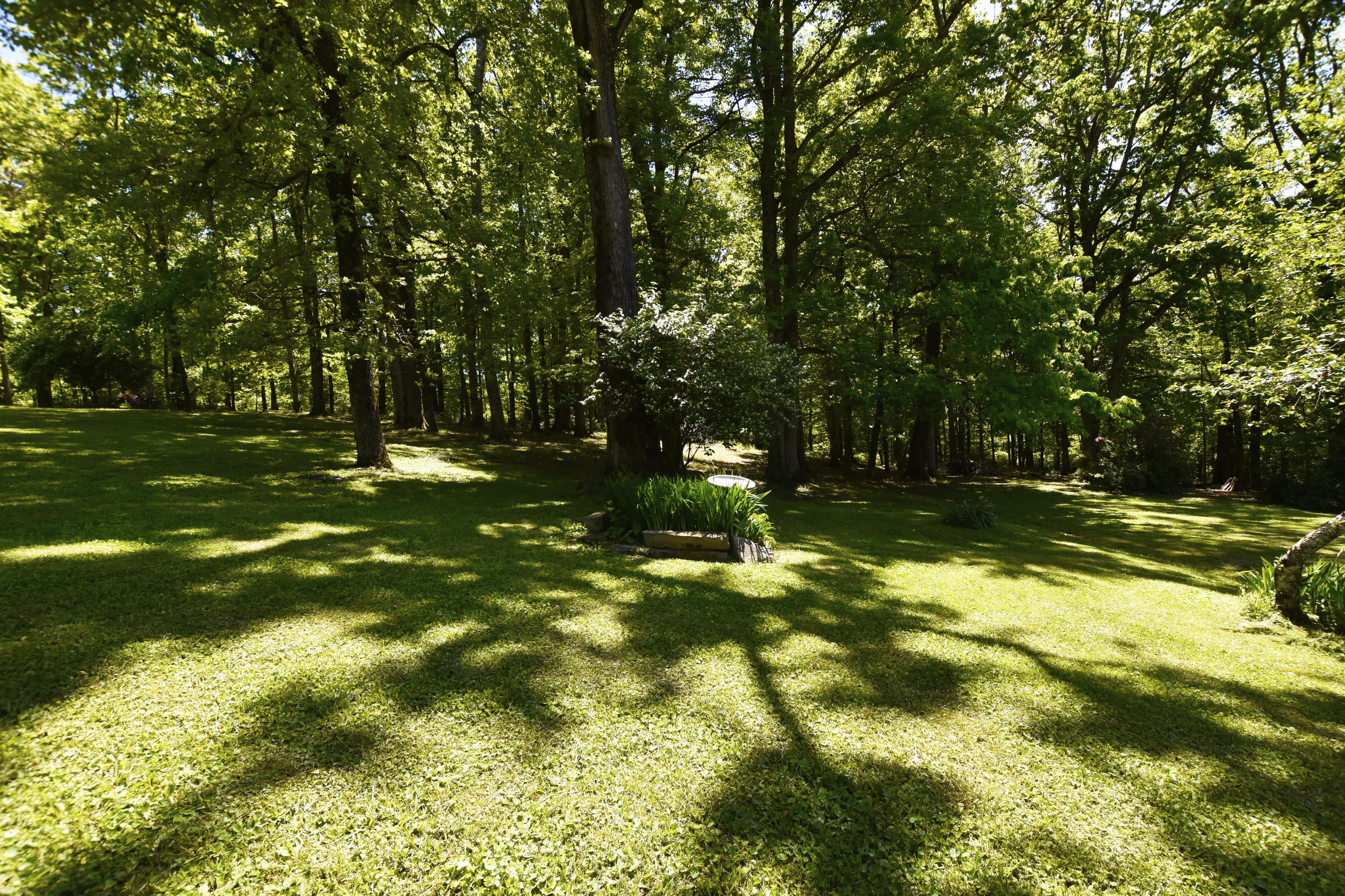 70 Robins Road Ravenna, KY 40472 - Photo 51 of 51 Yard
