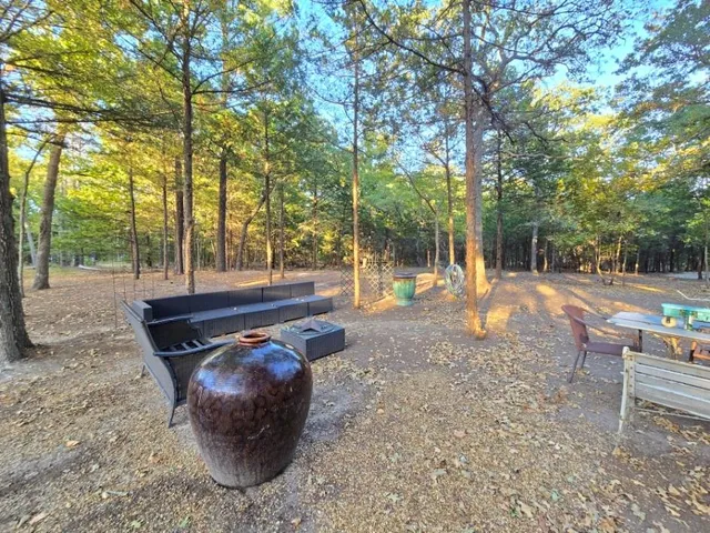 a view of a park with large trees