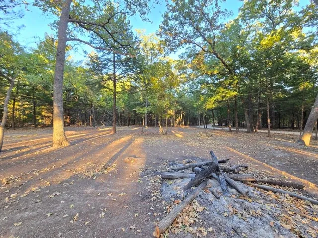 a view of a trees with a yard