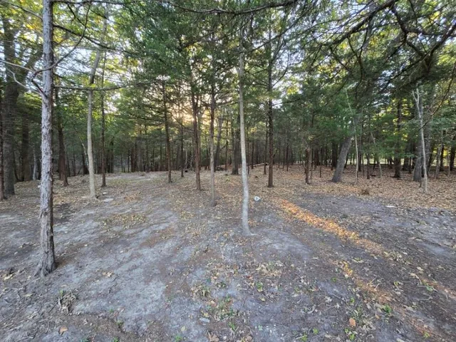 a view of outdoor space with trees