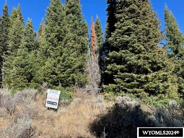 $75,000 | Lot 122 Ling Way, Kemmerer, WY 83101