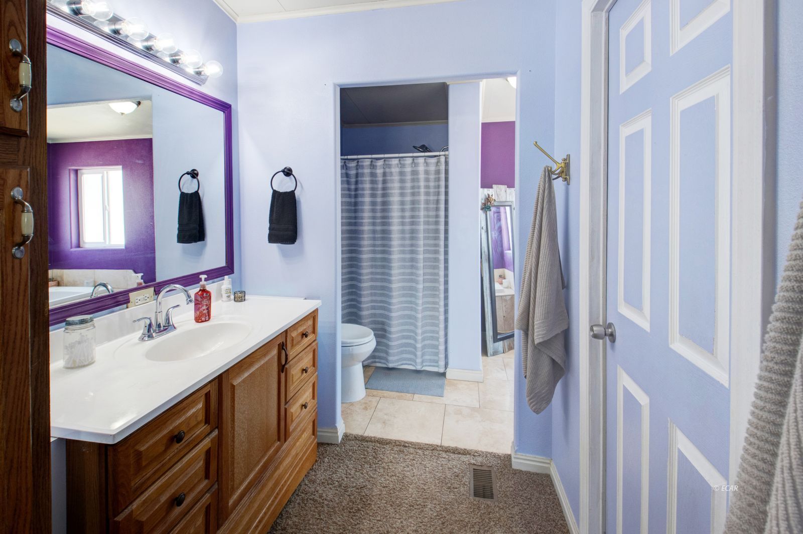 591 Spring Valley Parkway Spring Creek, NV 89815 - Photo 12 of 25 a bathroom with a sink vanity and mirror