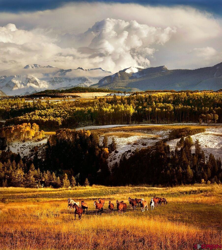 a view of ocean view