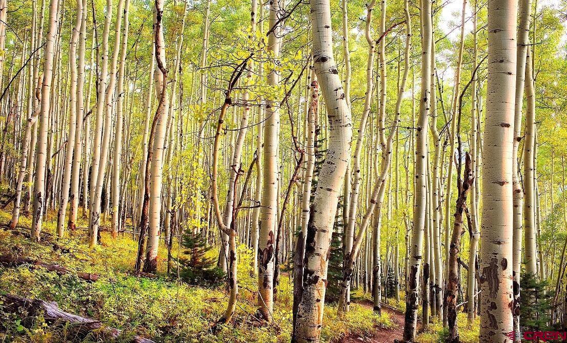 Drr Last Dollar Road Telluride, CO 81435 - Photo 6 of 8