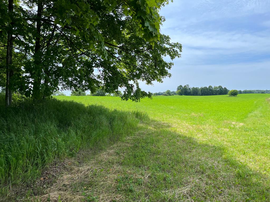 Haberli Road Sturgeon Bay, WI 54235 - Photo 1 of 7