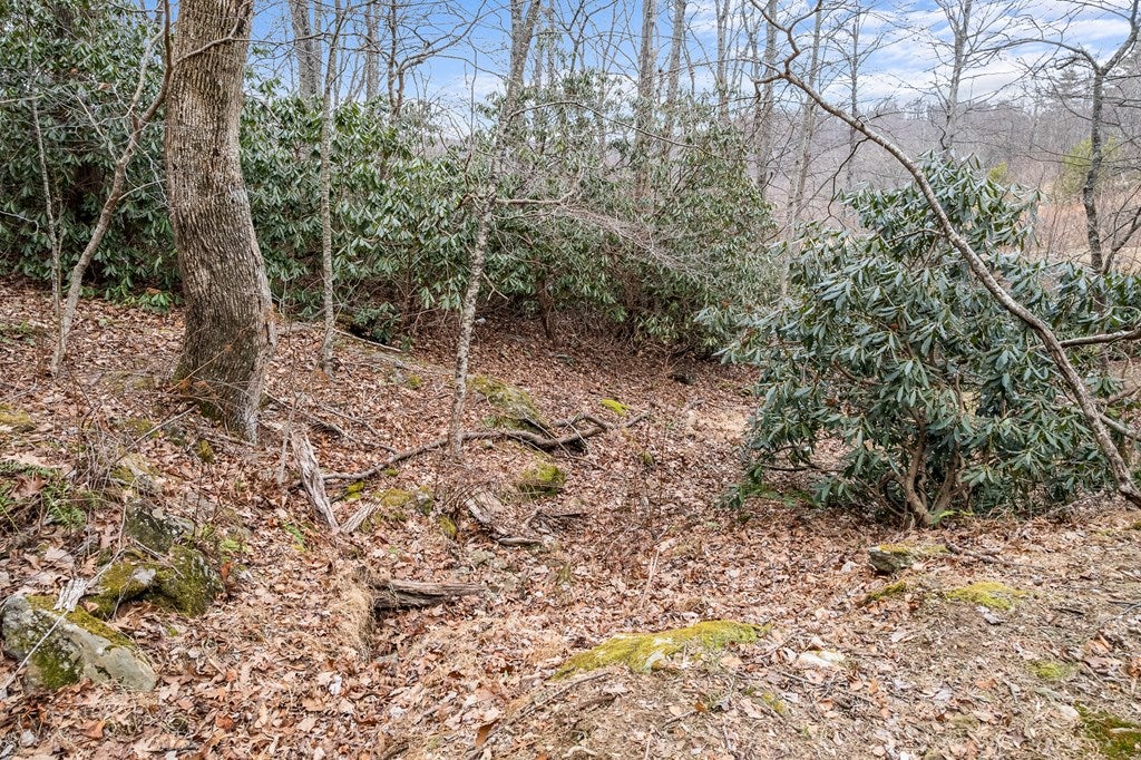 799 Crystal Spring Drive Fancy Gap, VA 24328 - Photo 34 of 43 Gallery Image 34