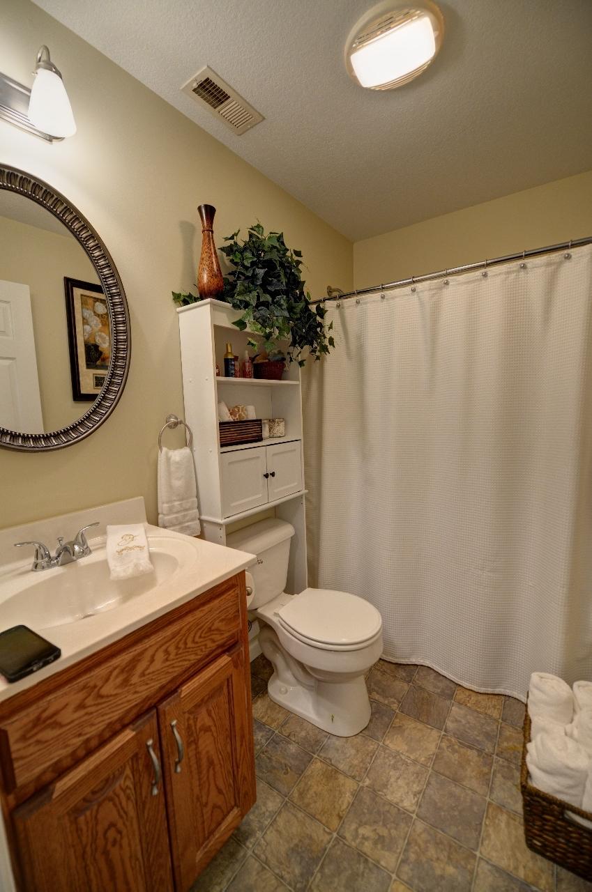 807 Sneed Road Evensville, TN 37332 - Photo 20 of 39 20-807 Sneed Main Bath 1