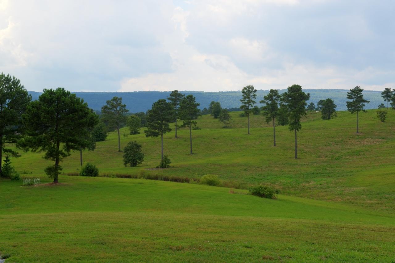807 Sneed Road Evensville, TN 37332 - Photo 36 of 39 36-807 Sneed View 1