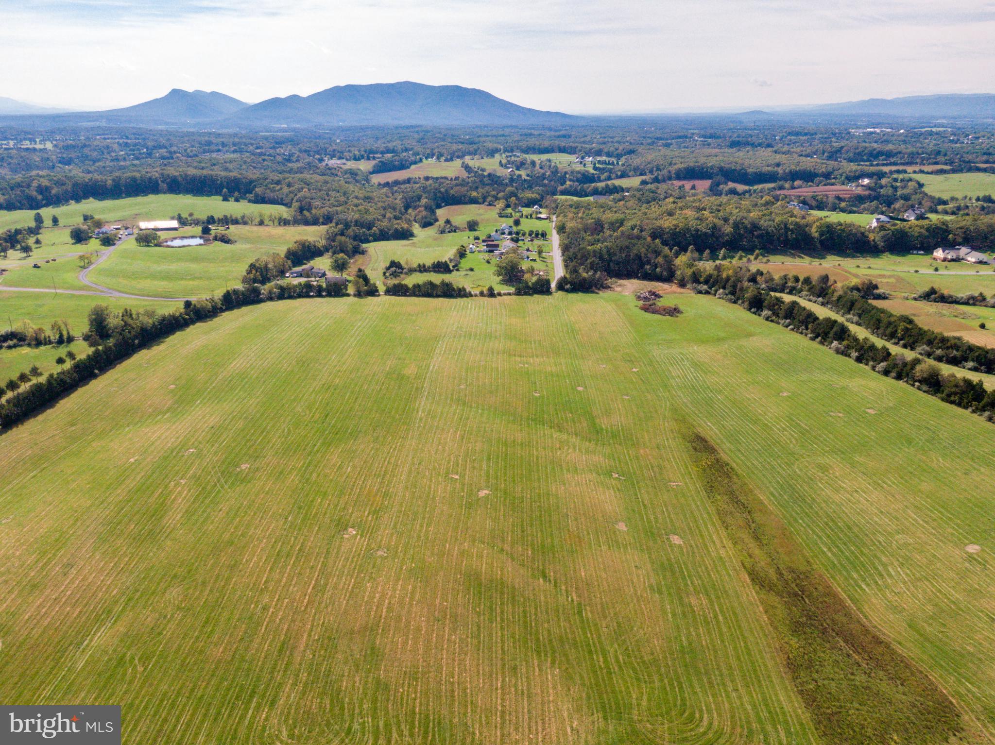 Lot 1 Huttle Road Middletown, VA 22645 - Photo 4 of 17 Gallery Image 4