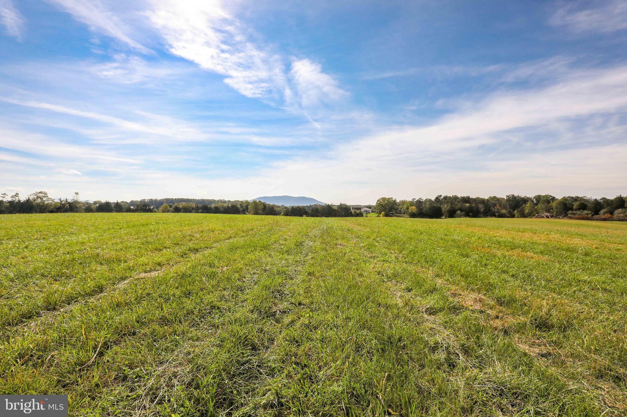 Lot 1 Huttle Road Middletown, VA 22645 - Photo 10 of 17 Gallery Image 10